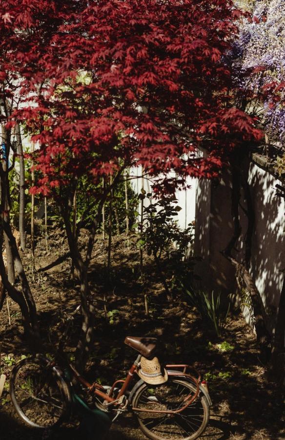 ホテル Casa Barbabuc ノヴェッロ エクステリア 写真